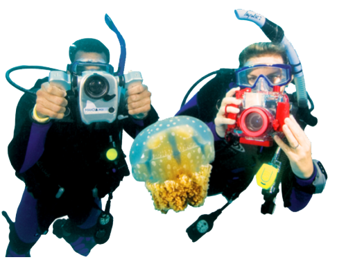 Su Altı Fotoğraf & Video
