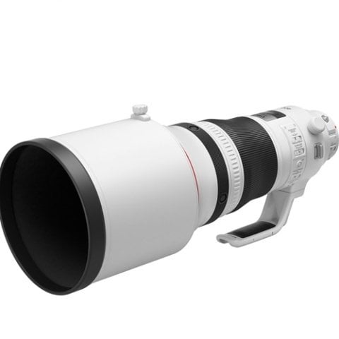 Canon EF 400mm f/2.8L IS III USM Lens