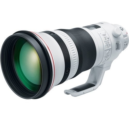 Canon EF 400mm f/2.8L IS III USM Lens