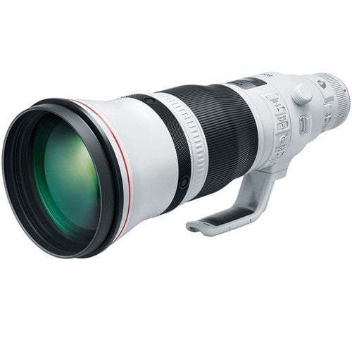 Canon EF 600mm f/4L IS III USM Lens