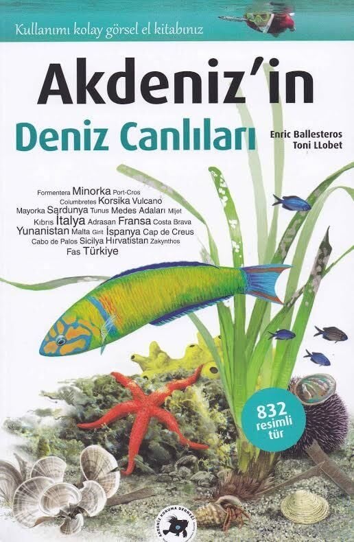Akdeniz'in Deniz Canlıları