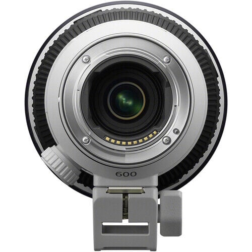 Sony FE 600mm f/6.3 GM OSS Lens