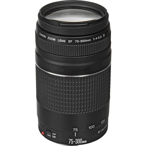 Canon EF 75-300mm f/4-5.6 III Lens Fiyat | Novafotograf.com