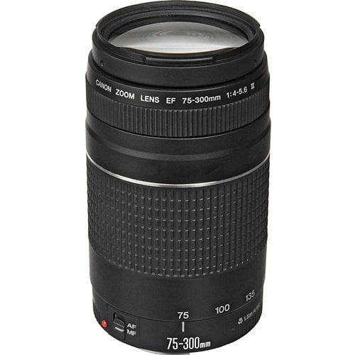 Canon EF 75-300mm f/4-5.6 III Lens