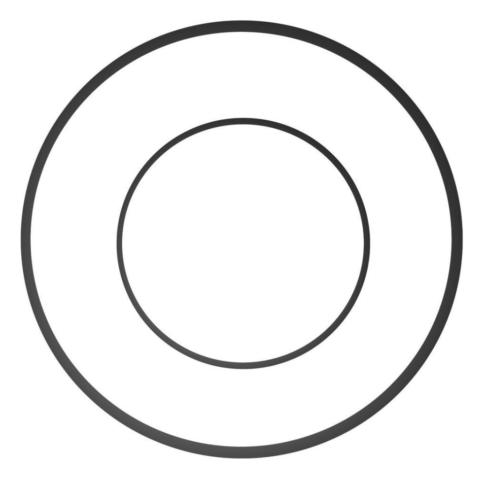 Ikelite DSLR Kabin ve Port O-ring'i (Tip 2)