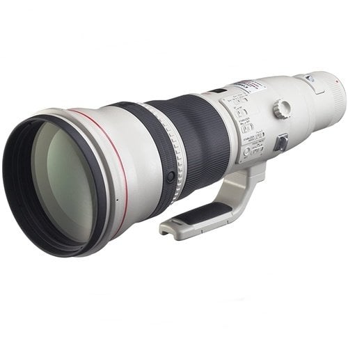 Canon EF 800mm f/5.6L IS USM Lens