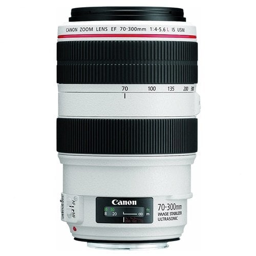 Canon EF 70-300mm f/4-5.6L IS USM Lens