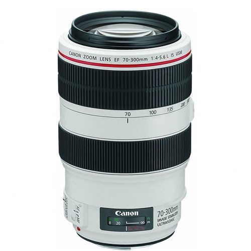 Canon EF 70-300mm f/4-5.6L IS USM Lens