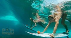 GoPro Şamandıra (HERO4 Session için)