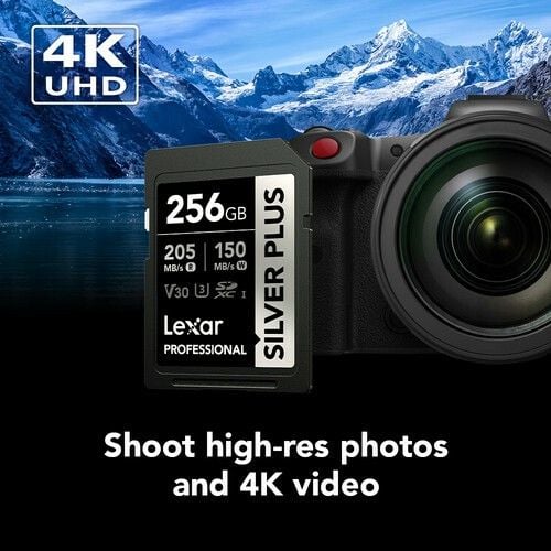 Lexar 256GB Profesyonel Silver Plus UHS-I SD Hafıza Kartı
