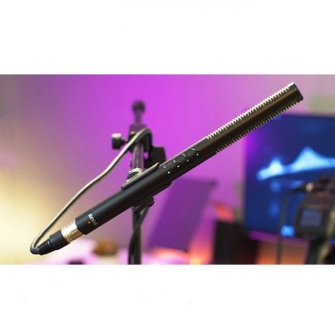 Rode NTG-4+ Boom Mikrofon
