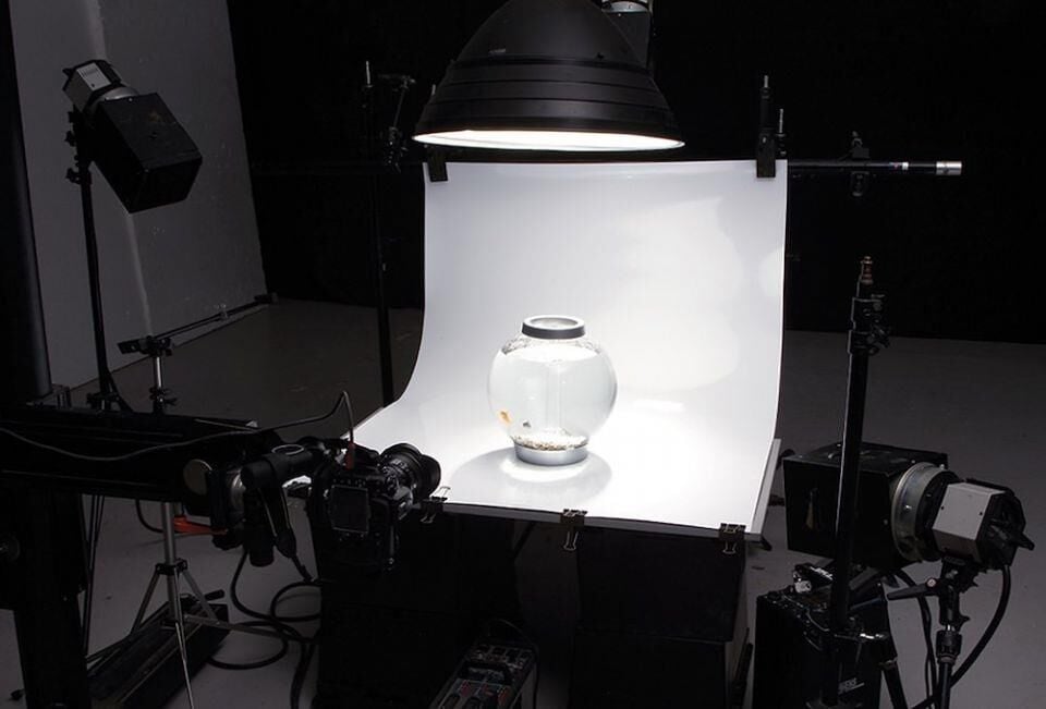 Colorama Colorgloss 100x130 Super White PVC Fon