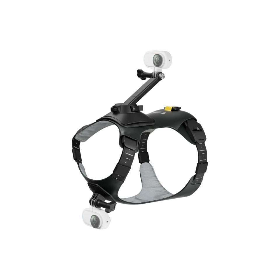 Insta360 Pet Harness Mount ( M )