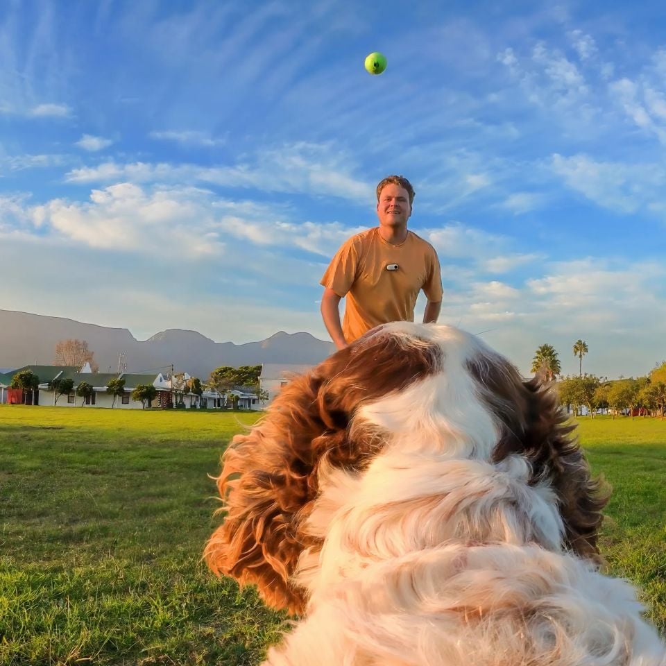 Insta360 Pet Harness Mount ( M )