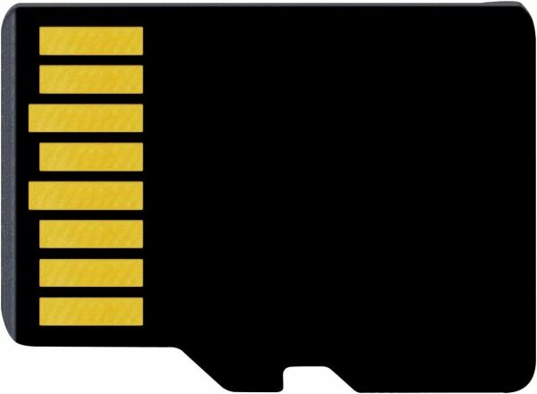 Delkin Devices 256GB Hyperspeed UHS-I SDXC Micro SD Hafıza Kartı