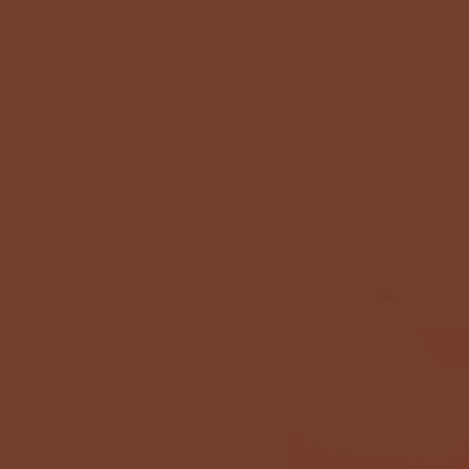 Gdx Kağıt Sonsuz Stüdyo Fon Perde (Chestnut) 2.70x11 Metre