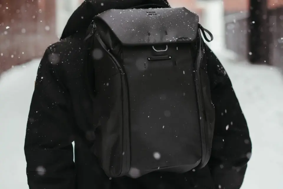 Everyday Backpack V2 20L Günlük Sırt Çantası - Black